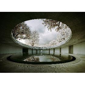 Tadao Ando -Naoshima Art Museum 3D